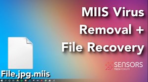 Miis Virus File Removal Guide