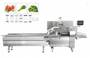 [Hot Item] Pillow Packing Machine