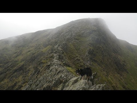Sharp Edge, Blencathra, October 16th 2025- morning