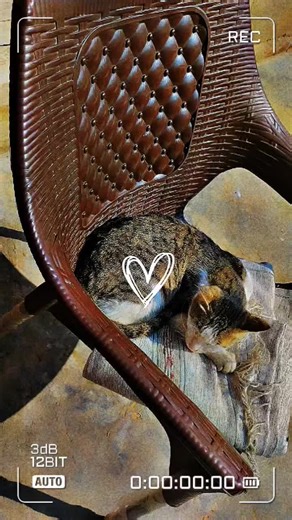 princess Amber (@princissamber626)’s videos with original sound - princess Amber