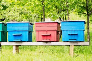 How Do You Waterproof A Beehive? A Quick Guide To Extending Your Hives' Life