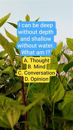 I can be deep without depth and shallow without water. What am I?