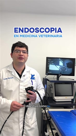 La endoscopia veterinaria nos permite observar el interior del cuerpo sin cirugías invasivas. Es una herramienta clave para un diagnóstico preciso, una recuperación más rápida y un mejor cuidado para nuestros pacientes 🐶🐱 Contáctanos para más información: 📞55.5360.3311 / 55.5240.0404 / 55.8841.5819 📍Hacienda de Temixco #8 Bosques de Echegaray, Naucalpan De Juárez, México. #veterinario #endoscopia #perros #gatos