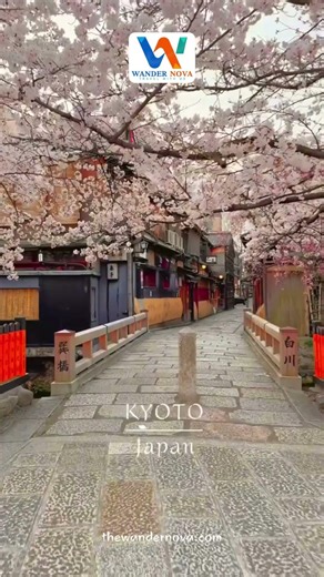 Every corner of Kyoto is a postcard moment #TravelGoals #Kyoto