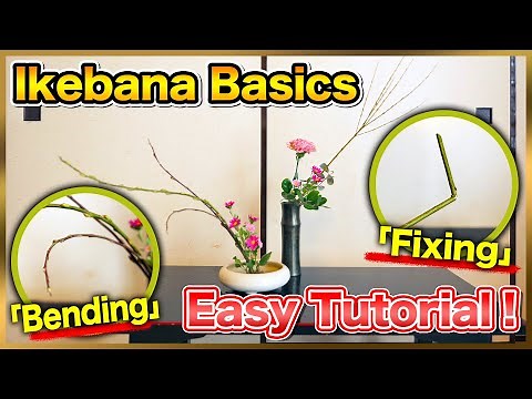 Ikebana Basics | How to Bend and Fix Flowers