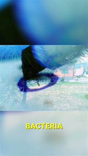 Free Gas Forever! Build This DIY Biogas System - PART 7 #shorts