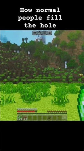 Minecraft : Normal vs. Legend: Filling the Hole in Minecraft