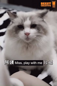 Give away to receive the good things | Beest