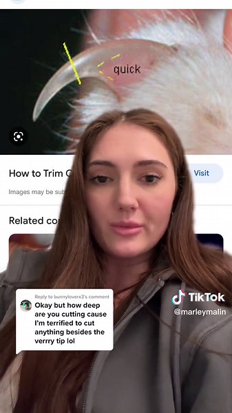 Effective Cat Claw Trimming Techniques and Tips