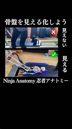 - 今なら納期14日（通常1ヶ月） - 骨盤・背骨・肋骨・肩甲骨は・・・ お客さまはうまくイメージできません。 Ninja Anatomy（忍者アナトミー）を使えば、 ひと目で分かり生徒さんの満足度が上がります。. | からだワールド（身体にまつわる世界のニュース）by Ninja Anatomy | Facebook