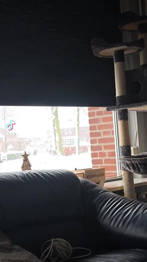 #fyp #snow #brabant #brabantontour🍺😎