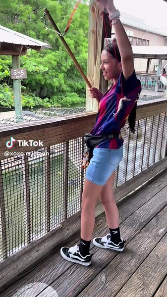 Discover Gatorland: Top Family Attraction in Orlando