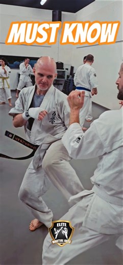 Fight Combo Everyone Needs 💪