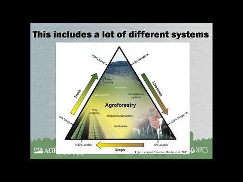 Alley Cropping Webinar