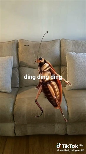the dancing cockroach
