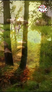 A tous les petits curieux ! C'est pas sorcier, La série de référence pour découvrir et comprendre les sciences, c'est par ici sur TFOU MAX ! 🚛 | TFOU