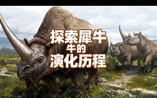 [中配]探索犀牛的演化历程 - Animal Origins