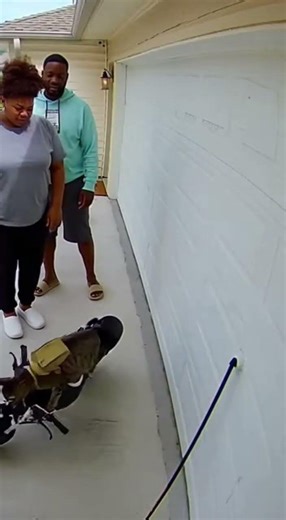 This Cat Argued Back, Took the Fuel, and Left