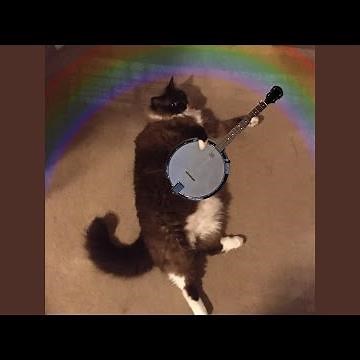 Rainbow Connection (banjo instrumental)