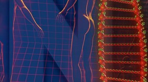 人类 脱氧核糖核酸 代码 - Free video on Pixabay