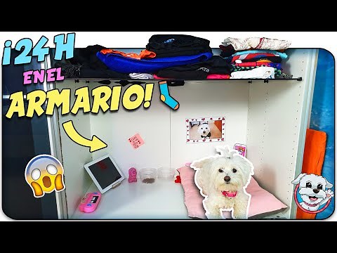 Mi PERRO pasa 24 HORAS en el ARMARIO! 😱🐶Anima Dogs