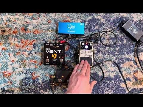 Boss RT-2 Rotary Ensemble vs Neo Instruments Mini Vent II