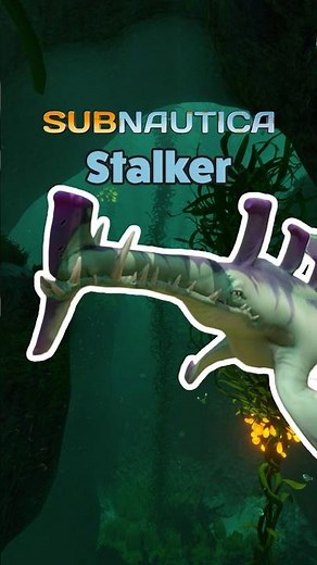 Stalker: The Ocean’s First Real Predator 🦈🌊