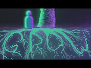 Dopapod | Building a Time Machine - Level 5: Grow (Animated Film)