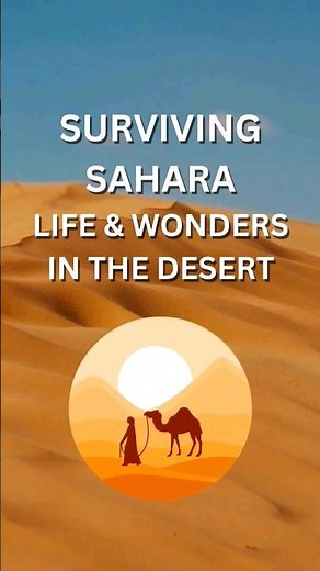 Surviving Sahara Life and Wonders in the Desert