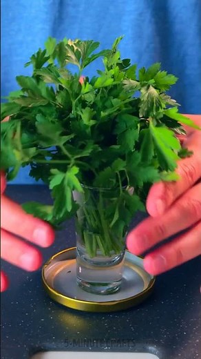 Unexpectedly Smart Random Hacks That Will Make Your Everyday Life Easier 😅 👍🏼