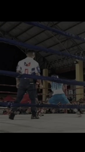 Amazing Boxing Highlights Everyone Should See!