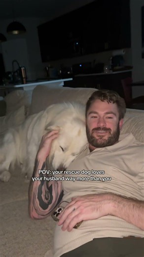 Who needs a partner when the dog takes him all day#puppy #dogshorts #stolen