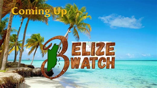 Belize Watch | Tuesday February 10, 2026 | Love FM Belize - News and Music Power