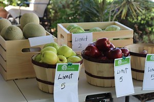 Mobile Food Pantry Available For Fremont Seniors