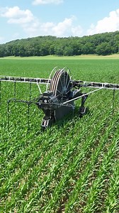 360 Yield Center on Reels