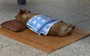 美丽的五月| closing ceremony| closing party| 毕业考试| 再见| Happy Ending| DDDD