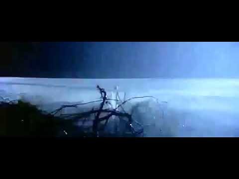 Sweet Home Alabama - Ending Scene 💙