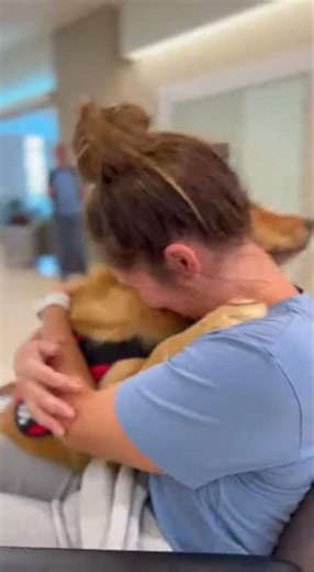 Service Dog Reunited With Owner After Hospital… Emotional Moment 😭🐶 #shorts
