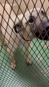 88K views · 1.6K reactions | As always we are extremely full on...