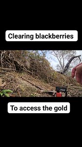 62K views · 599 reactions | One of the best things I've ever brought for gold prospecting is a mini chainsaw. I use it to clear blackberries, gauze and logjams. It cost about $300 with the battery pack, but it's paid for itself by opening up hard to access ground. The budget option is used to use was a folding hand saw. Worked just as well, only slower. | Vo-Gus Prospecting | Facebook
