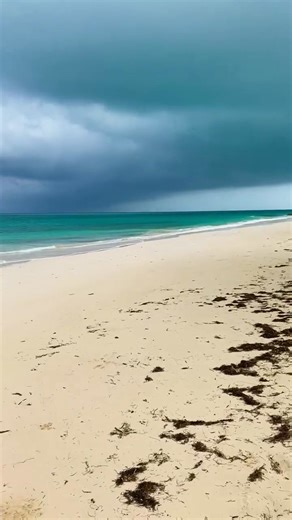 This is one of the most 😍beautiful beaches🏖 you'll find in Eleuthera,Bahamas.🇧🇸 | Eden Place, Eleuthera , Bahamas
