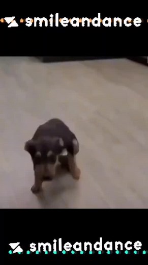 Bountyhunter - Woops