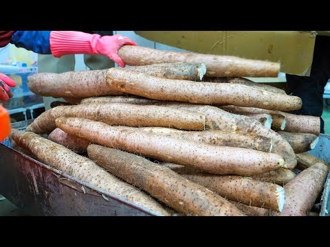 Chinese Yam Harvesting, Yam Pork Ribs Soup / 人參山藥採收, 人參山藥排骨湯 - Taiwanese Food