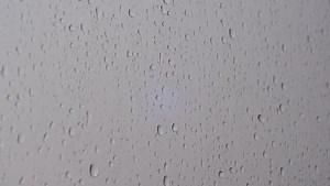 Rain Drops Transparent Images – Browse 892,615 Stock Photos, Vectors, and Video