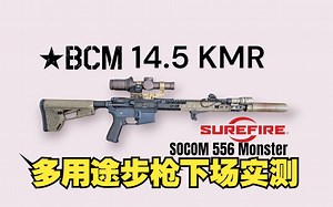 BCM 14.5寸多用途步枪配置下场实录，维特剃刀1-6 Holosun侧瞄