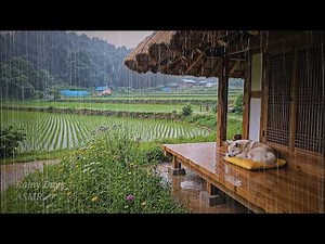 Rainy afternoon, ASMR rain sounds under the eaves of a cozy thatched house | Relieving Insomnia