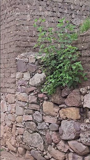 Typical ranch house #exploration #zacatecas