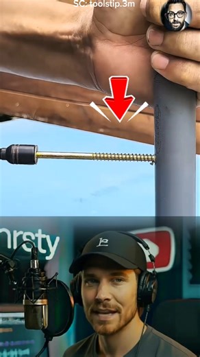 How to Spray Pests on Tall Trees Without Climbing #shorts #lifehacks