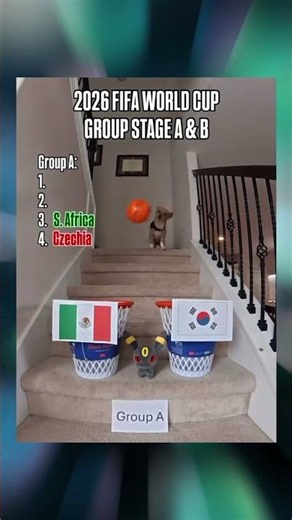 Air Corgi ya predijo cómo quedará el Grupo A de México en el mundial ⚽️ #fyp #futbol #mundial2026