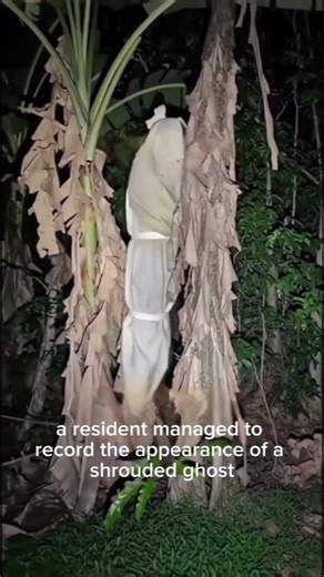Appearance of a shroud ghost #shorts #scary #viralvideo